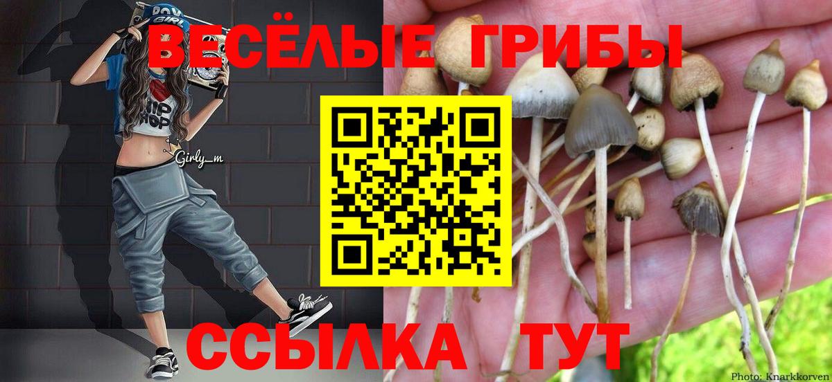 Галлюциногенные грибы Psilocybe  Вход с VPN  Саранск 